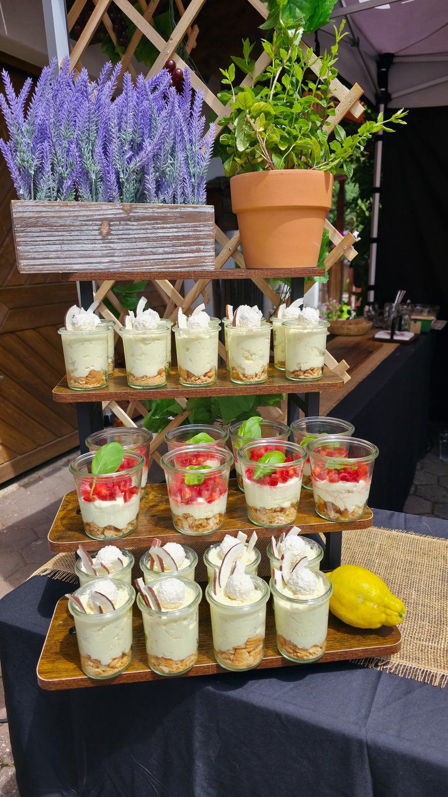Dessert-Auswahl mit Tiramisu und Panna Cotta
